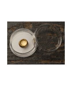 Gold in shell, small 23.75 kt.