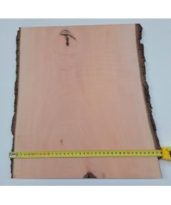 Pieza nica en madera maciza de peral con corteza, para pirograbado, 37x42 cm