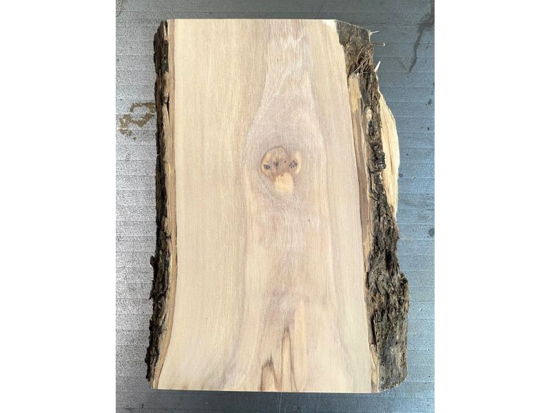 Unique piece in solid olive wood with chamfers and bark 10x20 cm