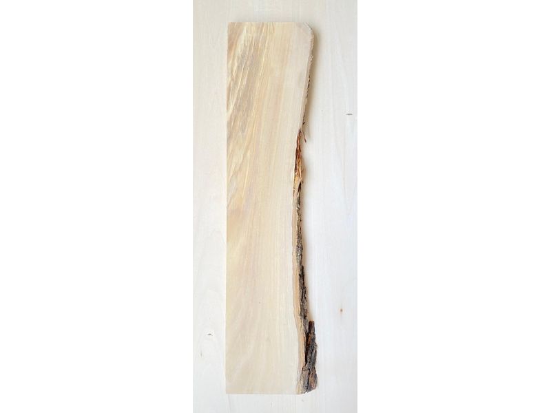 Unique piece in solid olive wood with chamfers and bark  10x50 cm