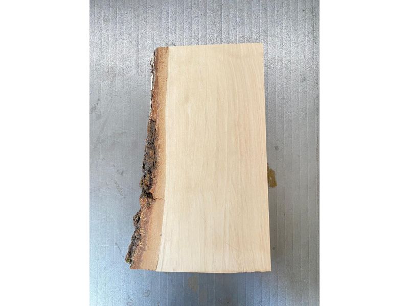 Pezzo unico in legno massiccio di BETULLA, larghezza 11 cm, altezza 24,5 cm