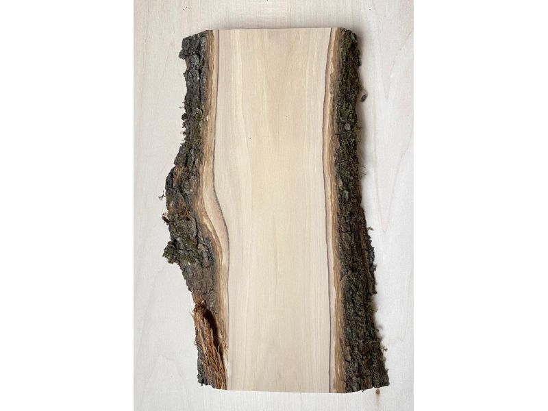 Unique piece in solid olive wood with chamfers and bark 11x30 cm