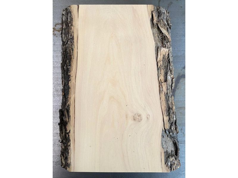 Pezzo unico in legno massiccio di ulivo con smussi e corteccia 12x25 cm