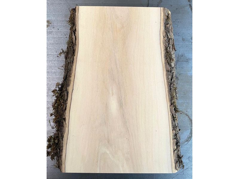 Pezzo unico in legno massiccio di ulivo con smussi e corteccia 13x24 cm