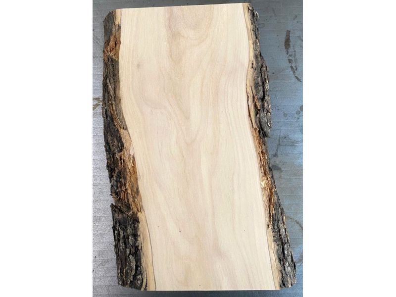 Pezzo unico in legno massiccio di ulivo con smussi e corteccia 13x30 cm