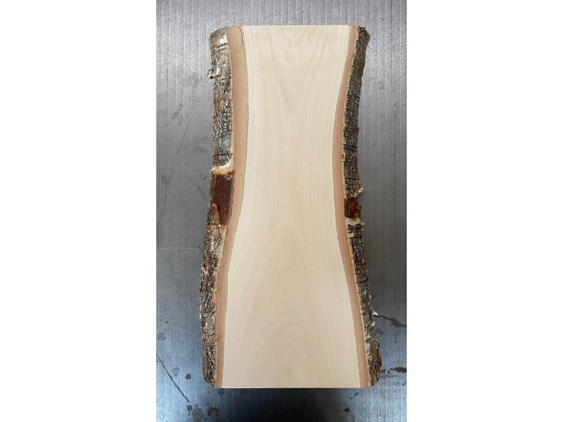 Pezzo unico in legno massiccio di BETULLA, larghezza 14 cm, altezza 41,5 cm