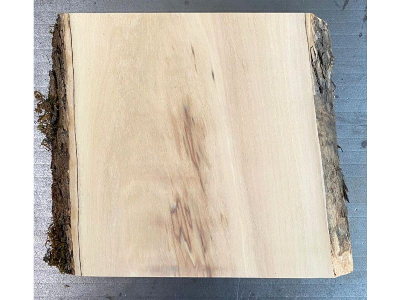 Pezzo unico in legno massiccio di ulivo con smussi e corteccia 15x17 cm