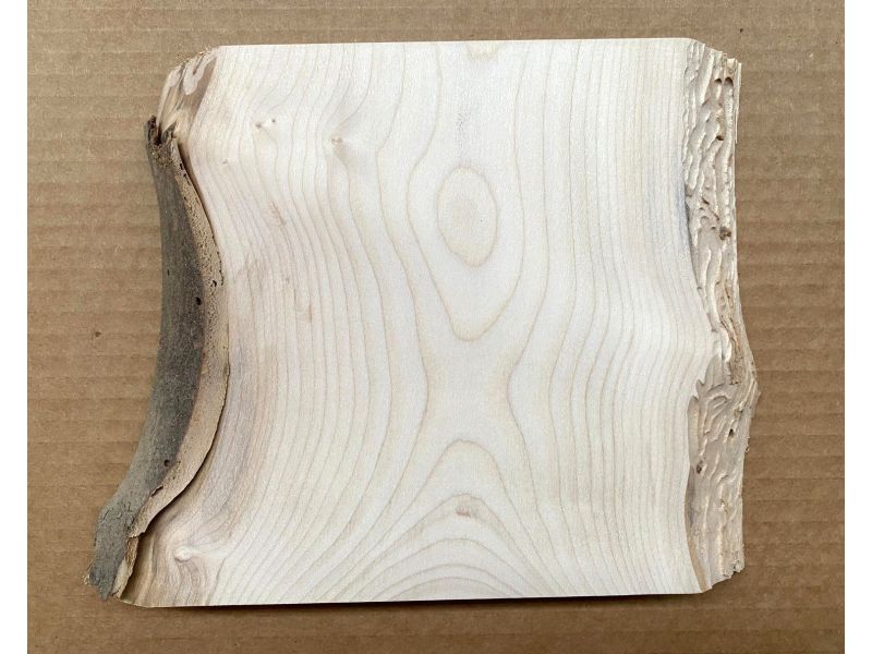 Unique piece in solid MAPLE wood, width 15 cm, height 18 cm