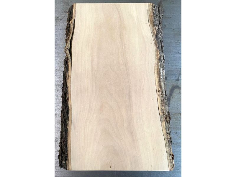 Pezzo unico in legno massiccio di ulivo con smussi e corteccia 15x30 cm