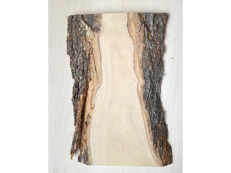 Unique piece in solid olive wood with chamfers and bark 15x34 cm