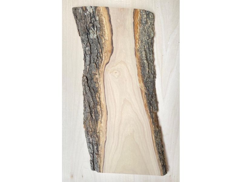 Unique piece in solid olive wood with chamfers and bark  15x39 cm