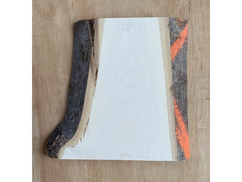 Pi�ce unique en bois d'�RABLE massif, largeur 16 cm, hauteur 23 cm