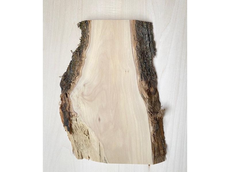Unique piece in solid olive wood with chamfers and bark 16x30 cm