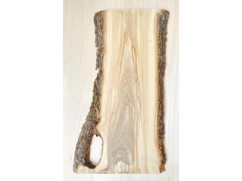 Unique piece in solid olive wood with chamfers and bark  17x50 cm