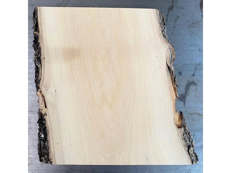 Pezzo unico in legno massiccio di ulivo con smussi e corteccia 18x25 cm