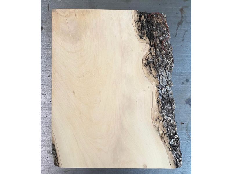 Pezzo unico in legno massiccio di ulivo con smussi e corteccia 18x30 cm