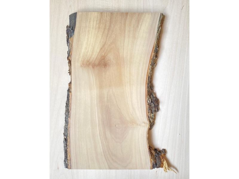 Unique piece in solid olive wood with chamfers and bark  18x34 cm