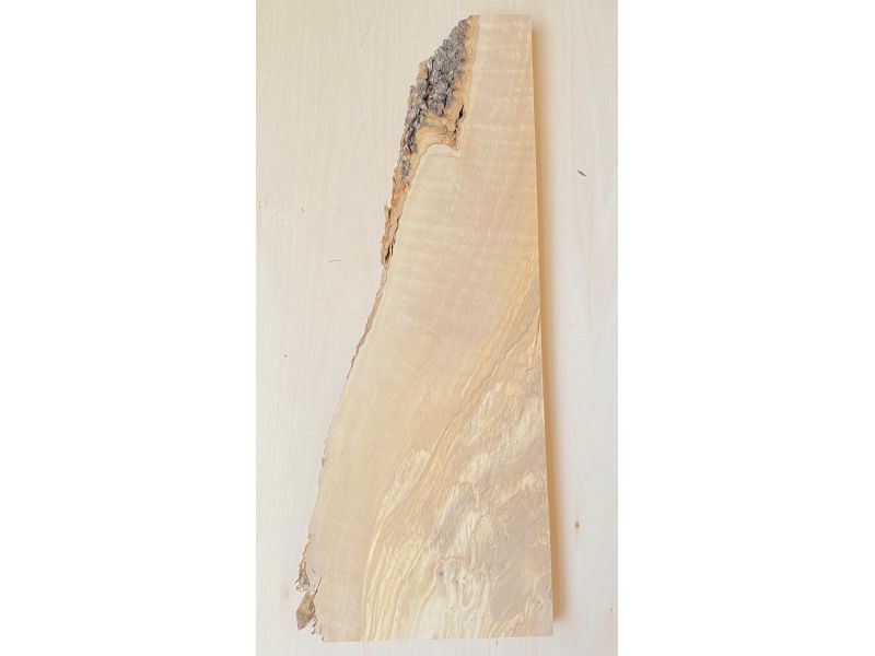 Unique piece in solid olive wood with chamfers and bark  18x46 cm