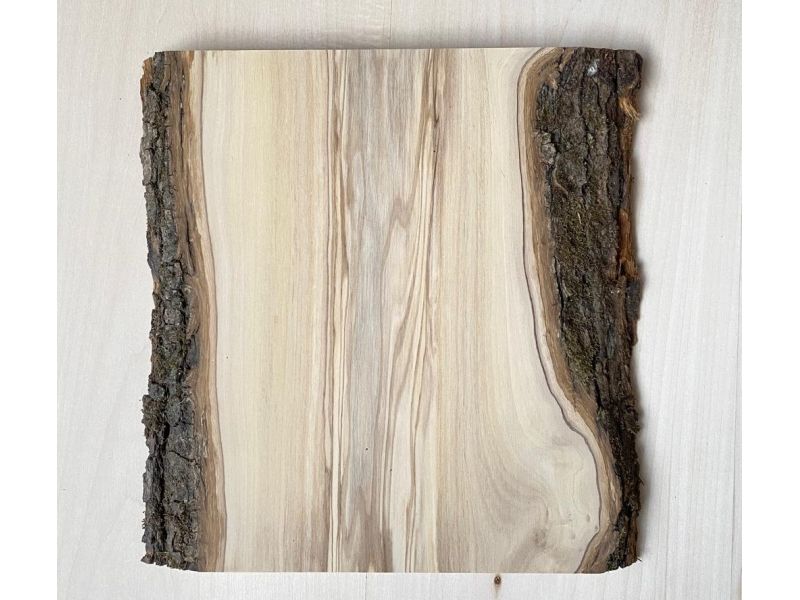 Unique piece in solid olive wood with chamfers and bark 19x25 cm