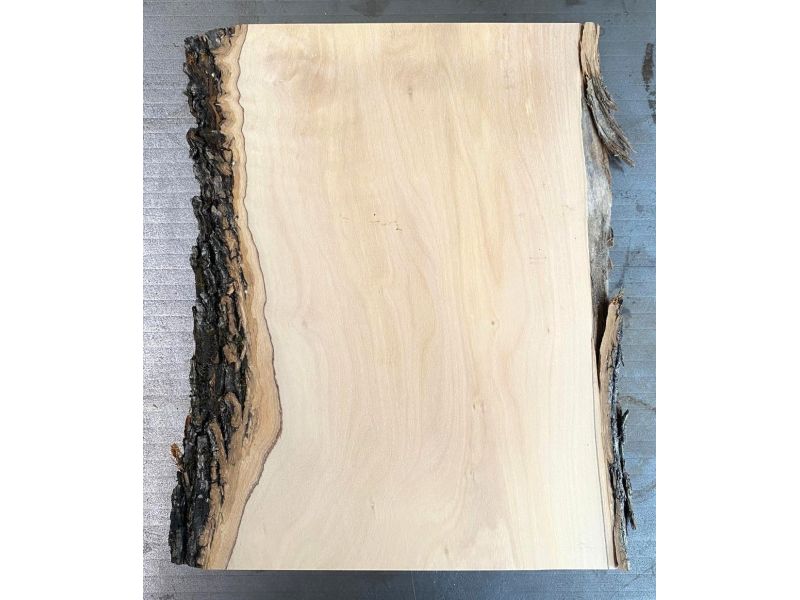 Pezzo unico in legno massiccio di ulivo con smussi e corteccia 19x30 cm