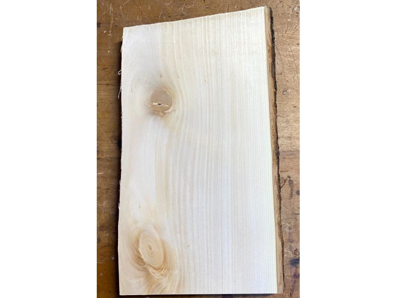 Pezzo unico in leassiccio di Tiglio, con corteccia, per pirografia, 19x35 cm, obliquo.