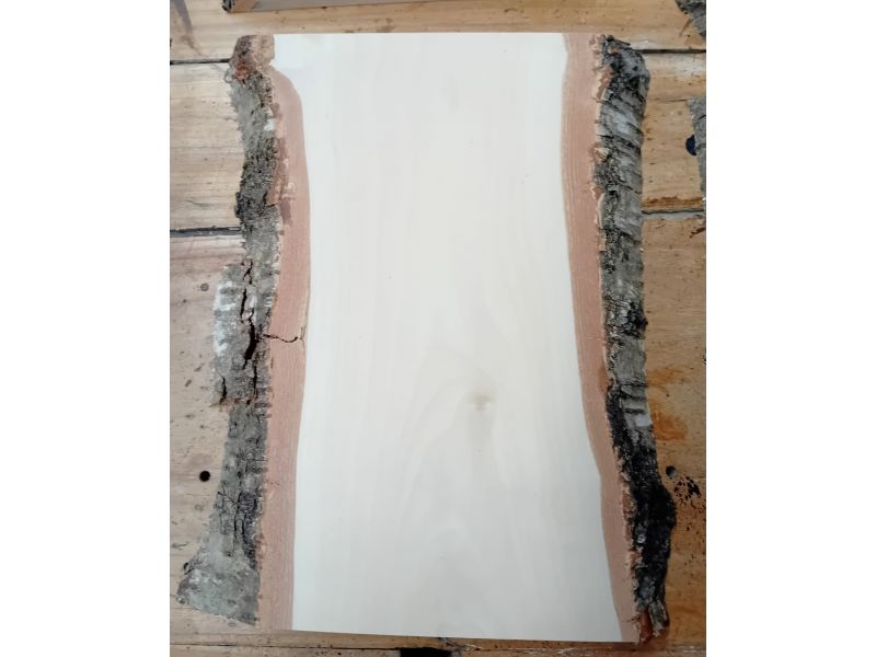 Verschiedenes Stck aus massivem Birkenholz, mit Rinde, fr die Brandmalerei, 20x30 cm