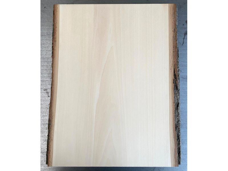 Pi�ce unique en boi tilleul massif, avec �corce, pour pyrogravure, 25-28x35 cm