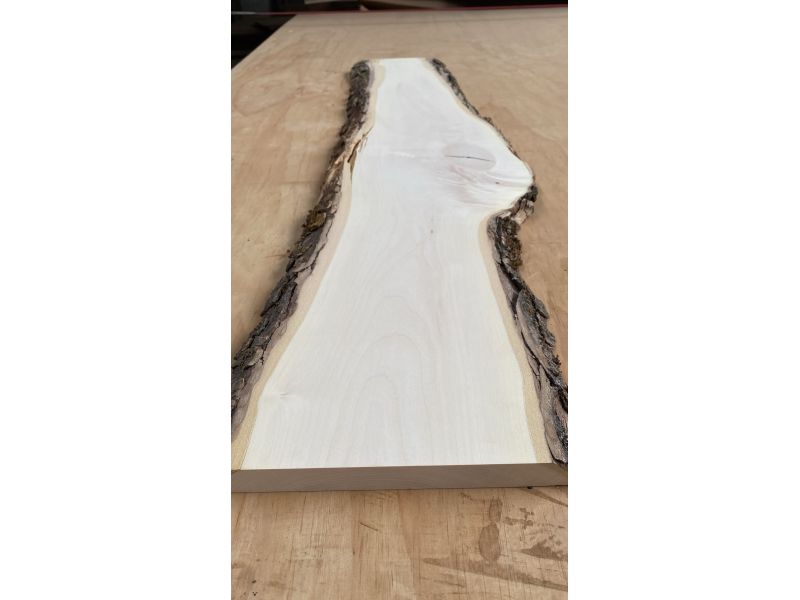 Peza unica en madera maciza de ARCE, ancho 20 cm, alto 101,5 cm