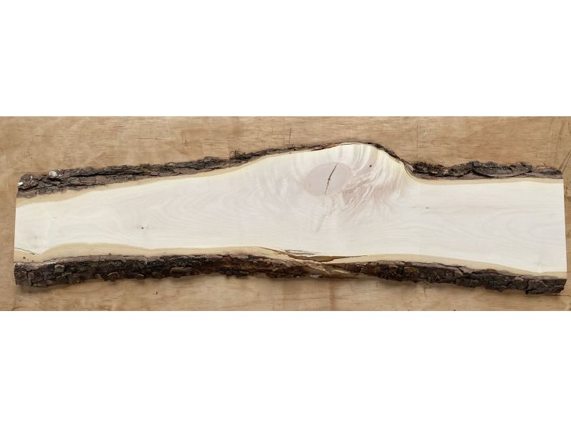 Peza unica en madera maciza de ARCE, ancho 20 cm, alto 101,5 cm