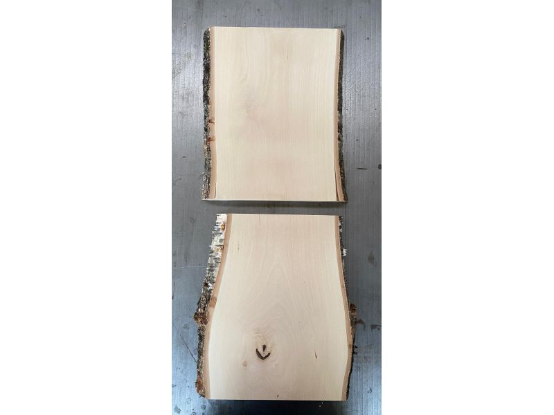 Pezzo unico in legno massiccio di BETULLA, larghezza 21 cm, altezza 31 cm