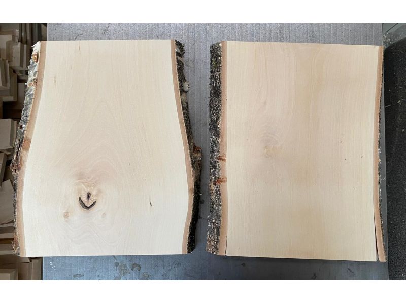 Pezzo unico in legno massiccio di BETULLA, larghezza 21 cm, altezza 31 cm