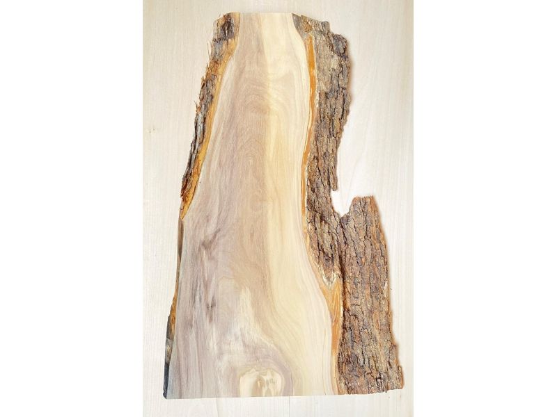 Unique piece in solid olive wood with chamfers and bark  21x50 cm