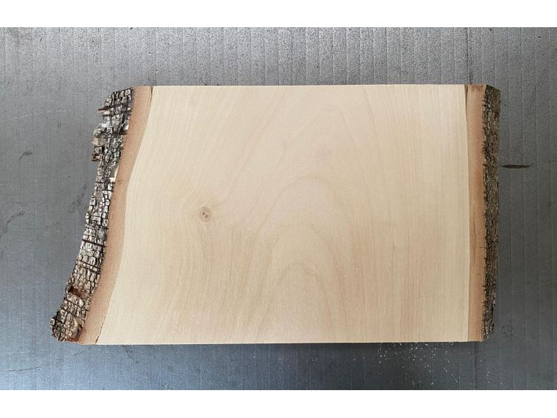 Pezzo unico in legno massiccio di BETULLA, larghezza 22 cm, altezza 16 cm