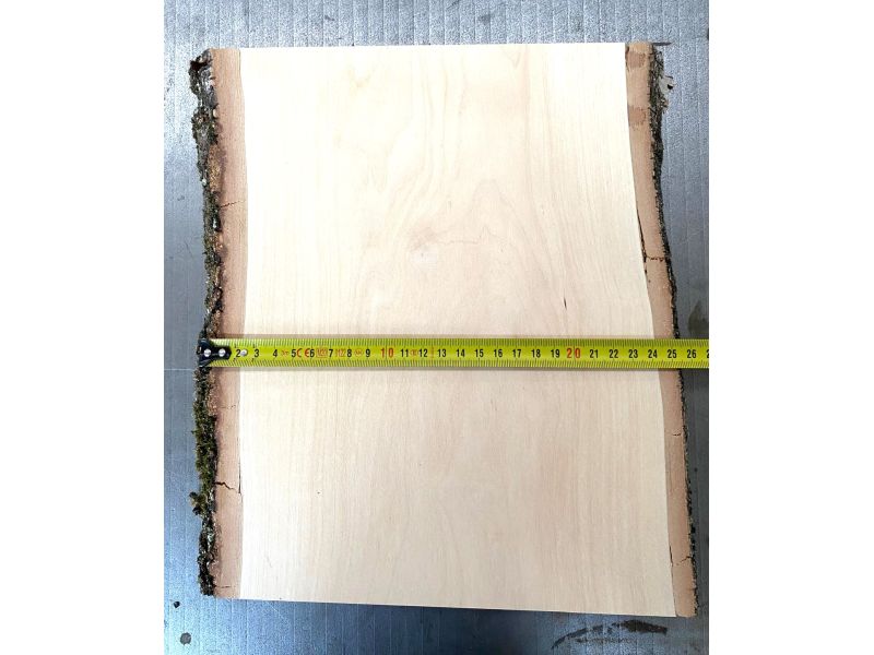 Pezzo unico in legno massiccio di BETULLA, larghezza 22 cm, altezza 30 cm