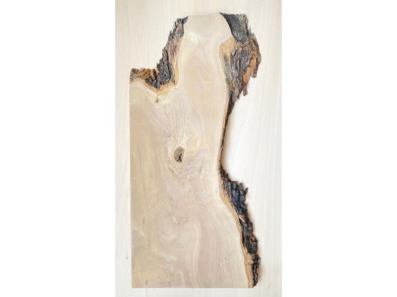 Unique piece in solid olive wood with chamfers and bark  22x52 cm