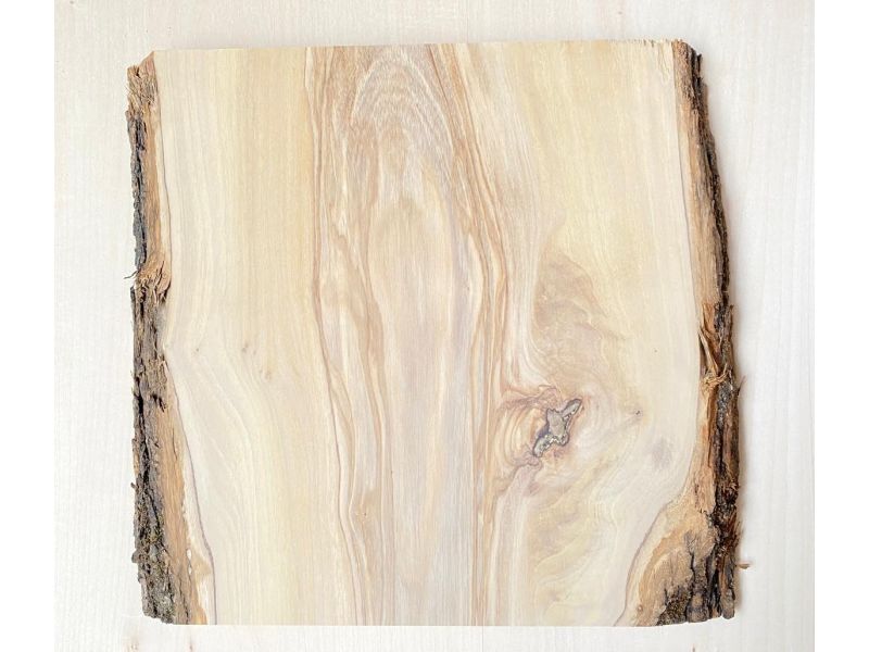 Unique piece in solid olive wood with chamfers and bark 23x25 cm