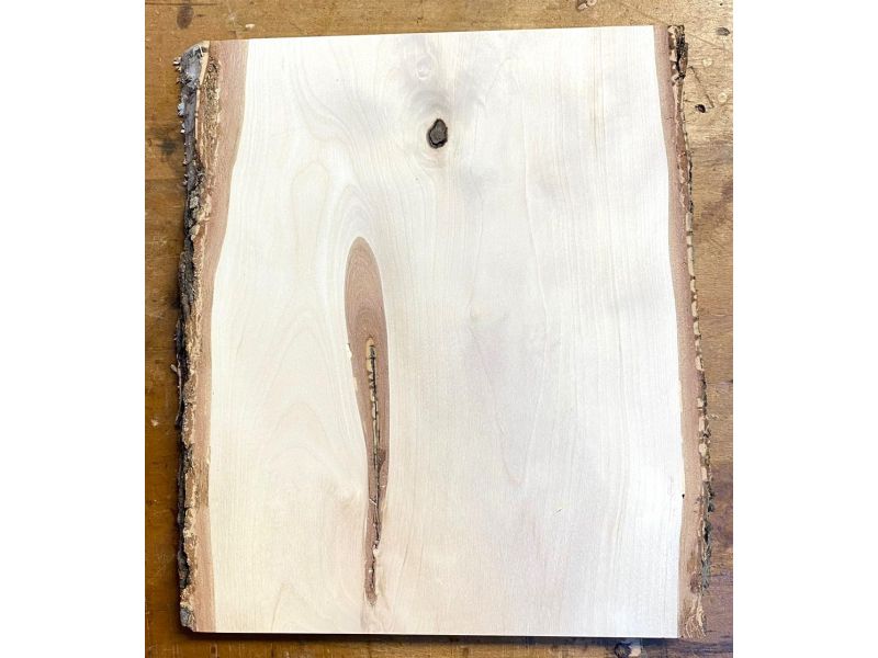 Pezzo unico in legno massiccio di BETULLA, larghezza 23 cm, altezza 30 cm