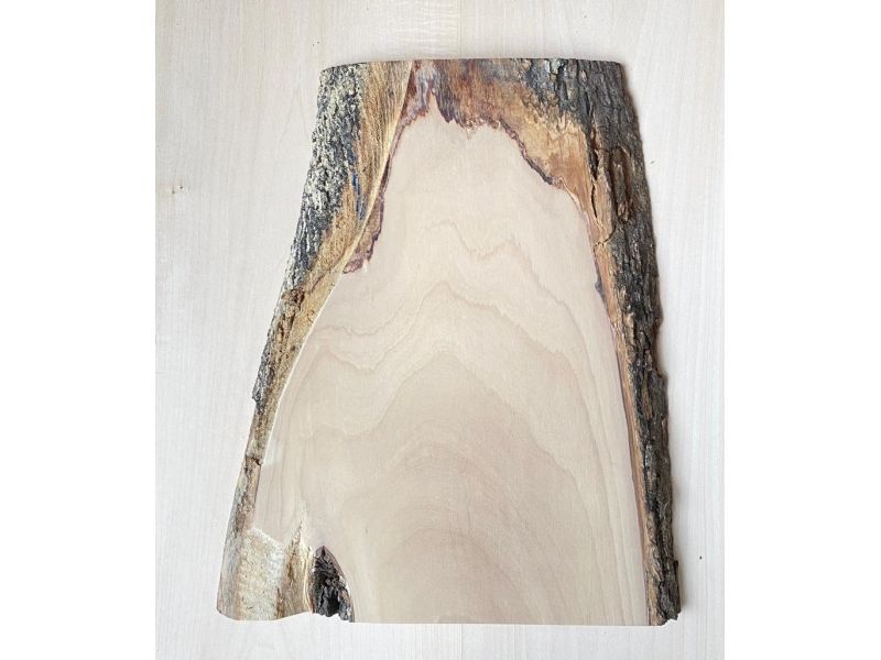 Unique piece in solid olive wood with chamfers and bark 23x34 cm