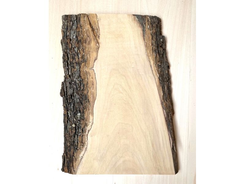Unique piece in solid olive wood with chamfers and bark  23x37 cm