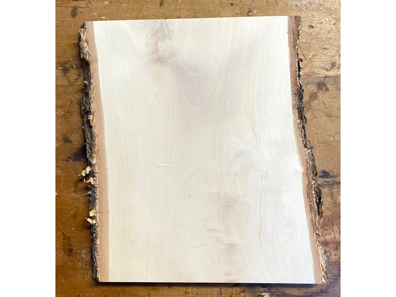 Pièce unique en bois de BOULEAU massif, largeur 24 cm, hauteur 30 cm