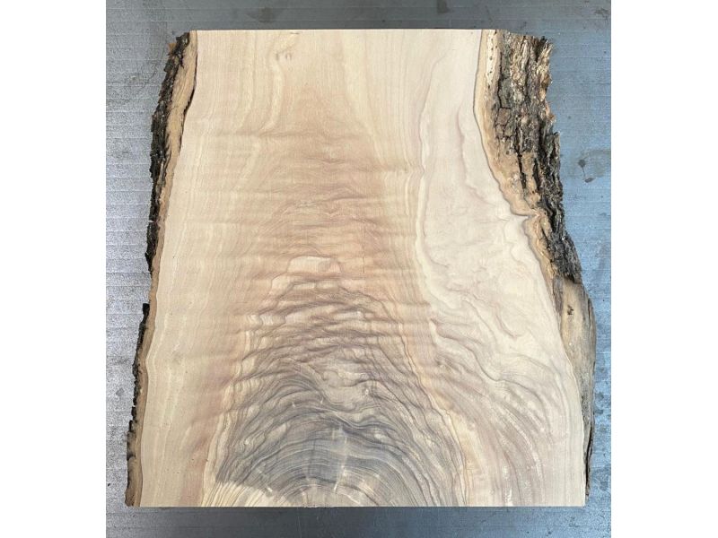 Pezzo unico in legno massiccio di ulivo con smussi e corteccia 24x30 cm