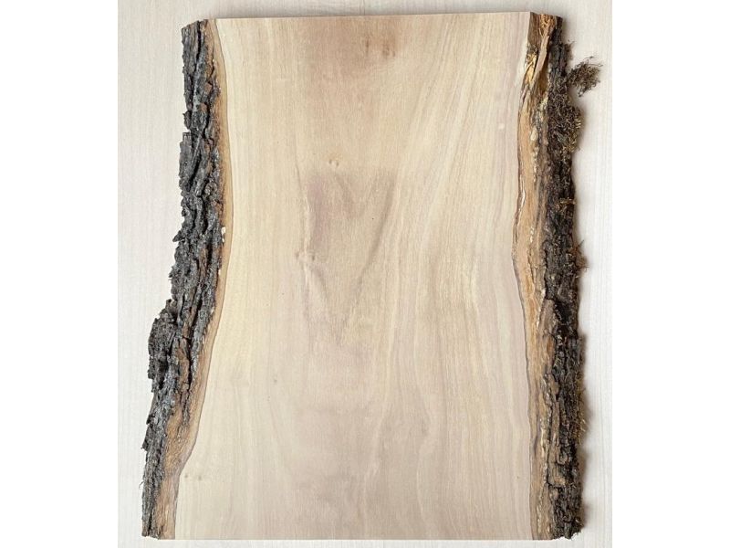 Pezzo unico in legno massiccio di ulivo con smussi e corteccia 24x34 cm