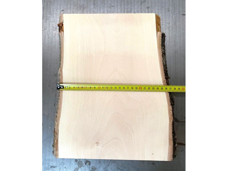 Pezzo unico in legno massiccio di BETULLA, larghezza 24 cm, altezza 35 cm