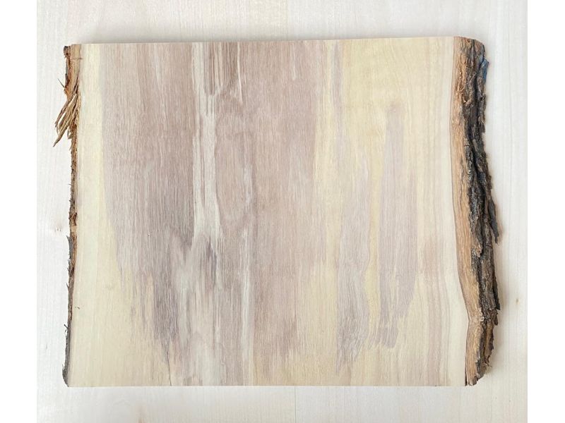 Unique piece in solid olive wood with chamfers and bark 25x22 cm