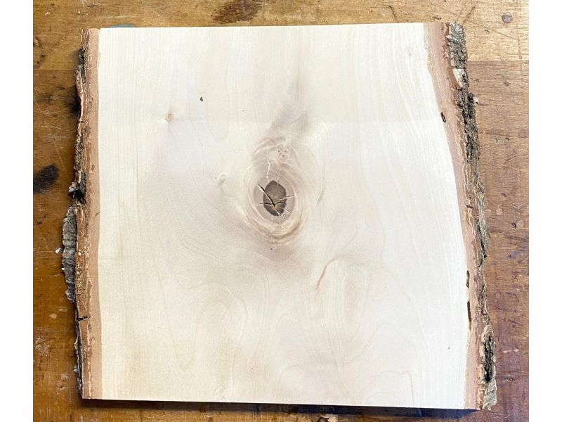 Pezzo unico in legno massiccio di BETULLA, larghezza 25 cm, altezza 26 cm