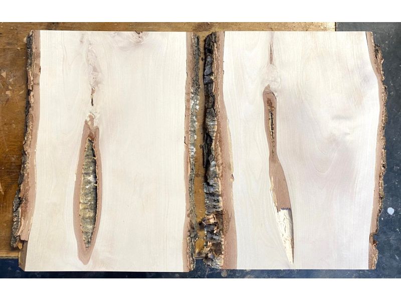 Pezzo unico in legno massiccio di BETULLA, larghezza 25 cm, altezza 38 cm