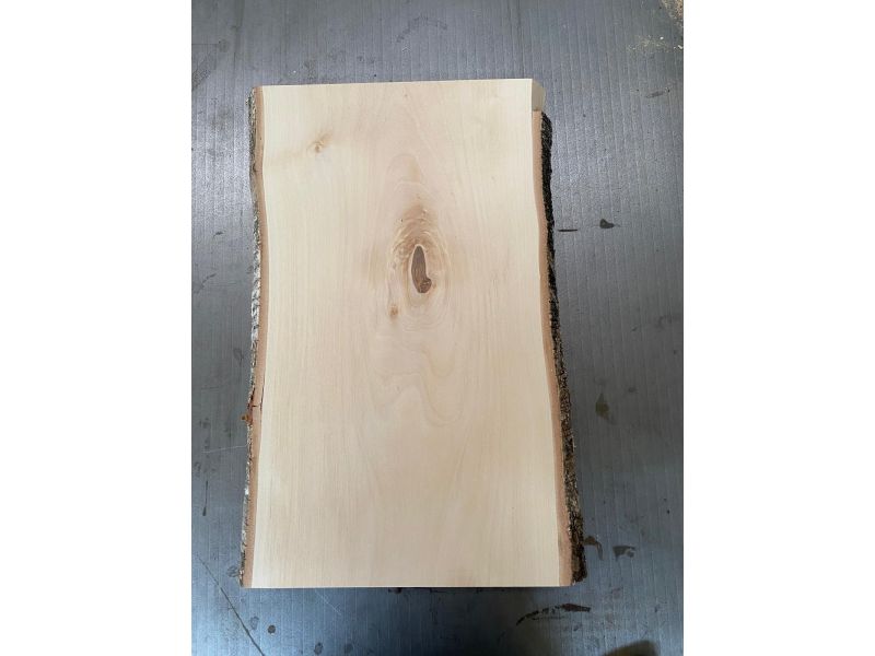 Pezzo unico in legno massiccio di BETULLA, larghezza 25 cm, altezza 44 cm