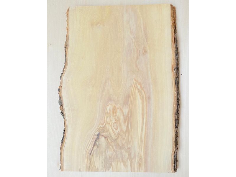 Unique piece in solid olive wood with chamfers and bark  26x40 cm