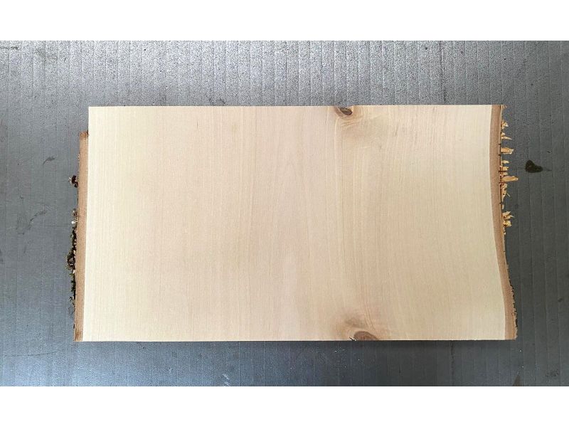 Pezzo unico in legno massiccio di BETULLA, larghezza 28 cm, altezza 16 cm