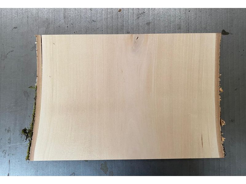 Pezzo unico in legno massiccio di BETULLA, larghezza 28 cm, altezza 20 cm